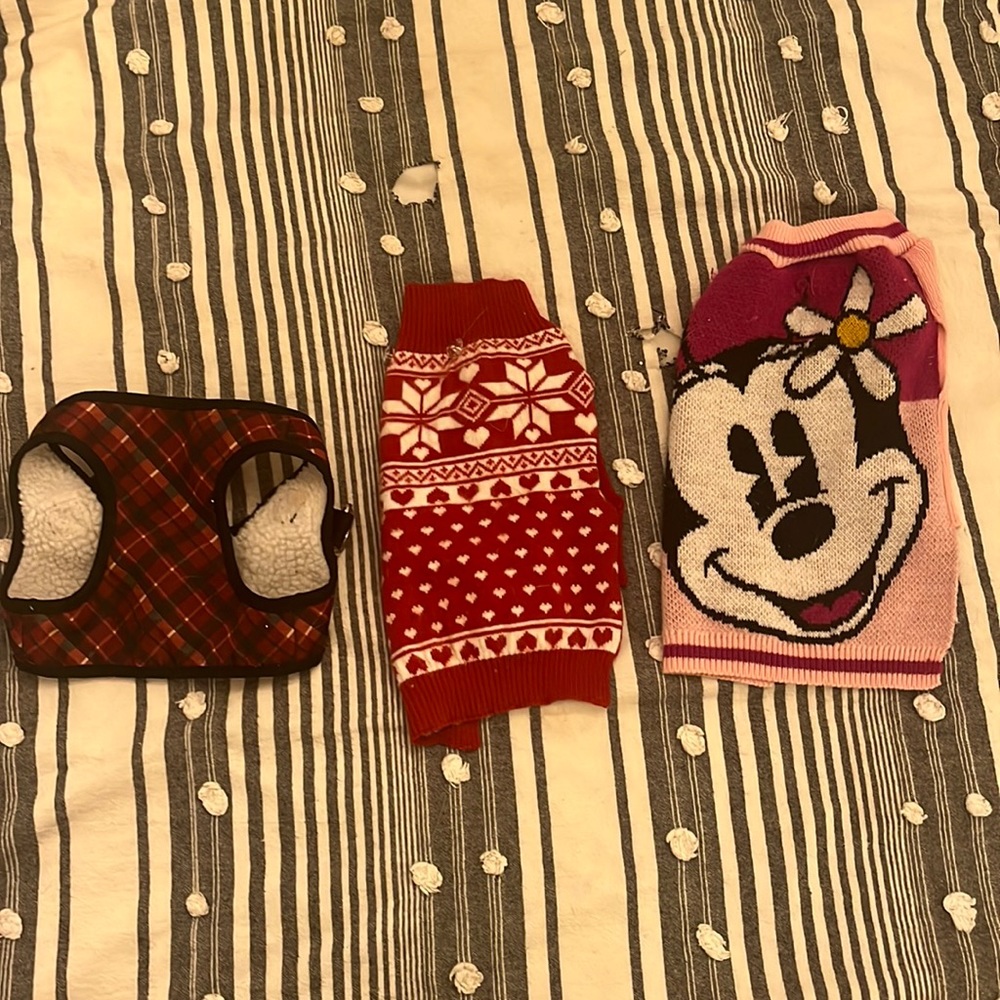 Small dog clothes